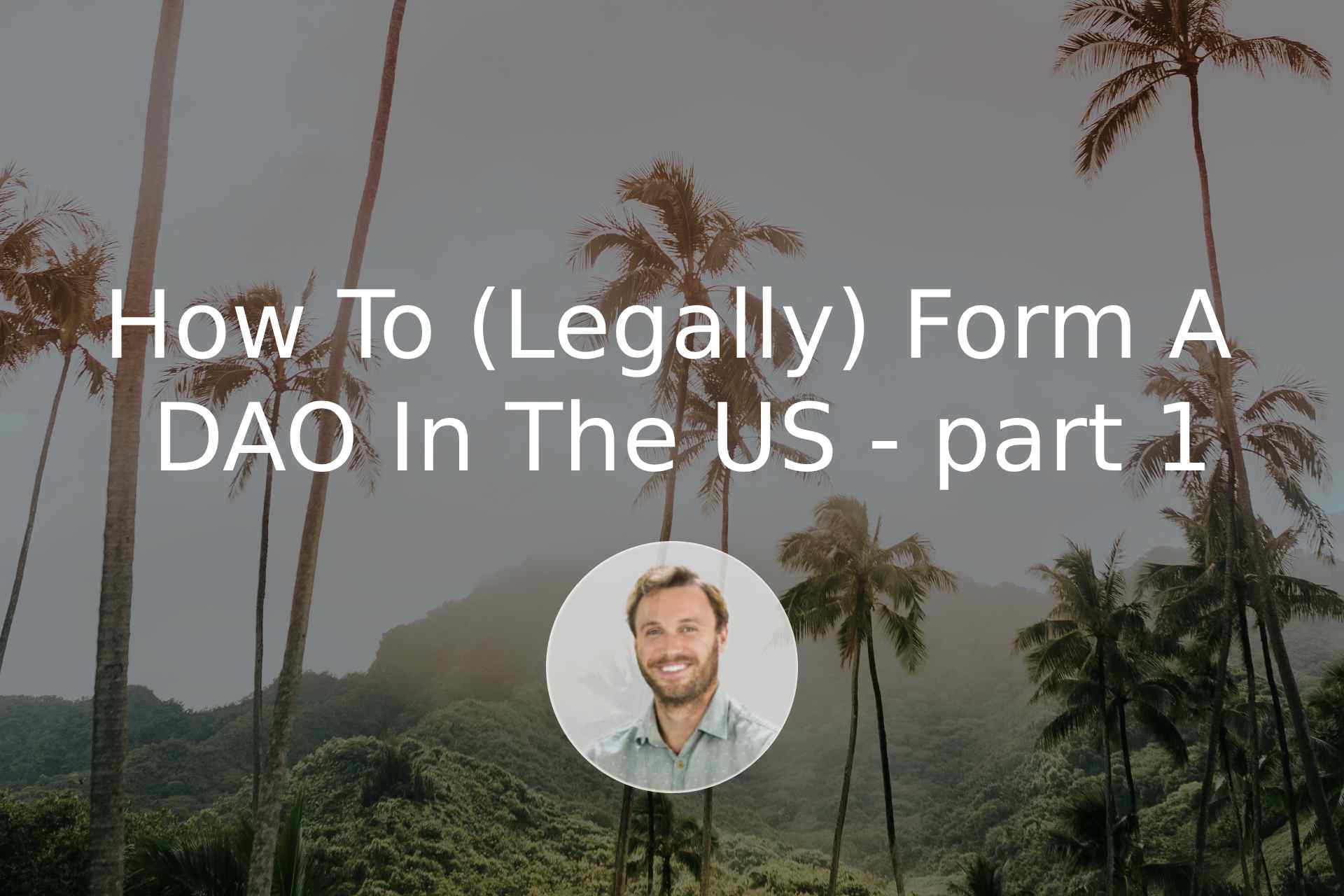 How To (Legally) Form A DAO In The US - part 1