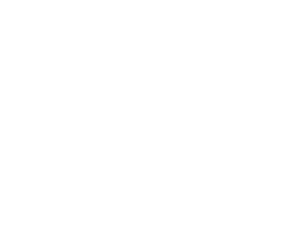 XO Capital - Field Notes
